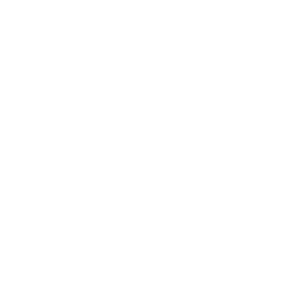 Grupo Platinum